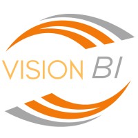 Vision BI logo - Similar company to Vision.Bi