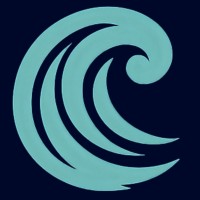 Second Wave Growth logo - Similar company to Nation Wilcox Systems