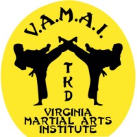 Virginia Martial Arts Institute Inc logo - Similar company to Fk Inter Bratislava
