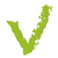 The Visual Connection logo - Similar company to Focus Facilitators®