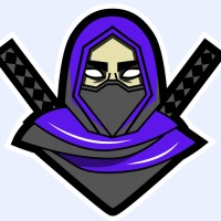 CTO Ninja logo - Similar company to Cto Salsa