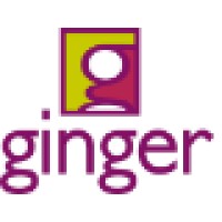 Ginger logo - Similar company to Bs Strategy