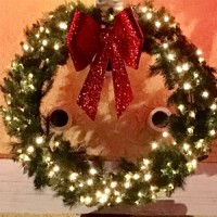 VIP Christmas Lights logo - Similar company to Tapping Through The Snow