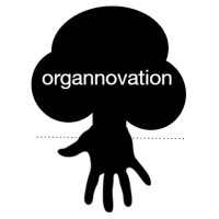 organnovation logo - Similar company to Mb & Partners