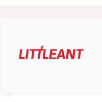LittleAnt LTD logo - Similar company to Devcent Trainings