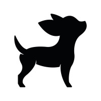 PINKCHIC guagua logo - Similar company to Keep & Trendy