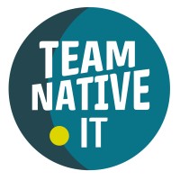 Team Native IT logo - Similar company to Rv Websolutions