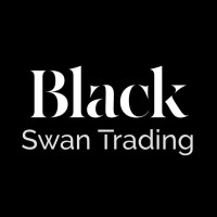 Blackswan Trading logo - Similar company to Blackswan Technologies