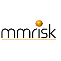 MMRisk (Pty) Ltd logo - Similar company to Logichem Process International