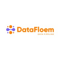 DataFloem logo - Similar company to Pinsoft