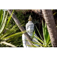 snap2reset logo - Similar company to I Drive Safely