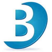 Blue Era Web Tech logo - Similar company to Mlai Solution