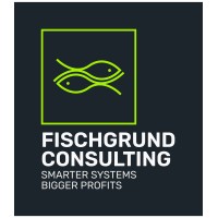 Fischgrund Consulting logo - Similar company to Sync Business Solutions