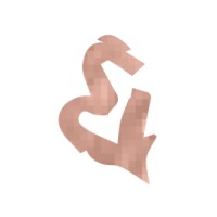 Blush & Whimsy logo - Similar company to Ai Discovery Group