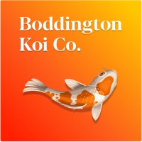 Boddington Koi logo - Similar company to Boddingtons Inc