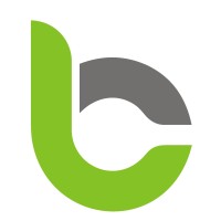Binary Clues logo - Similar company to Automode Solutions