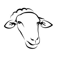 Sheep Milk New Zealand logo - Similar company to Cailu