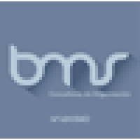 Bms Consultores De Organización