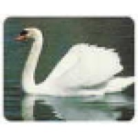 Swan Properties Indy, LLC