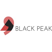 Black Peak Consulting logo - Similar company to Barbican Advisory Group