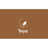 TEYA Pharmaceutical R&D logo - Similar company to Zt Pharma