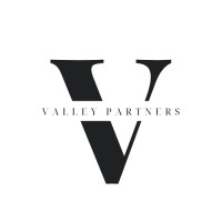 Valley Partners logo - Similar company to Steepulse