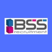 BSS Recruitment logo - Similar company to National Employment Screening