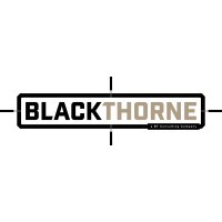 Blackthorne S&D Consulting logo - Similar company to Alumot Security