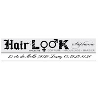 HAIR'LOOK STEPHANIE logo - Similar company to Esperus Systems