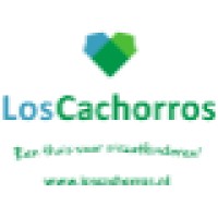 Los Cachorros