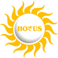 Horus Financial Consultants Pvt Ltd logo - Similar company to Ams Partners