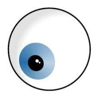 VPOptics logo - Similar company to Vision.App (We Care For Your Eyes)