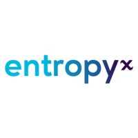 Entropy X logo - Similar company to Entropy