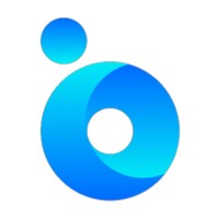 BRING ONLINE logo - Similar company to Leo Loopbaan