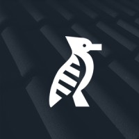 Birdcomb logo - Similar company to Bird Comm