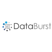 Databurst.ai logo - Similar company to Databurst