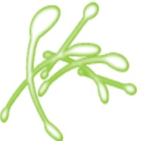 iddi - Softwares que encantam logo - Similar company to Corptec