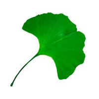 La Segunda Mitad logo - Similar company to Hamhar_Store