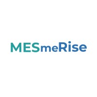 Mesmerise Soft-Tech Private Limited logo - Similar company to Rego Techno Solutions