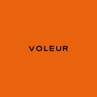 Voleur logo - Similar company to Carte Bleue