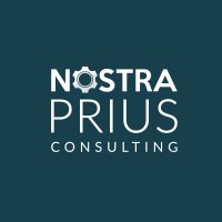 NOSTRA PRIUS - Serviços de Consultoria Industrial, Lda. logo - Similar company to Comtacto - Assistência Informática | Reparação De Electrónica