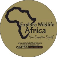 Bespoke Travel Africa logo - Similar company to Unique Preen Safaris