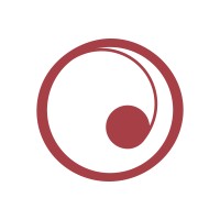 Visercorp logo - Similar company to Habtal Aero
