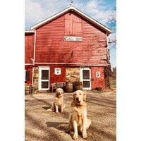 Hacklebarney Farm and Cider Mill logo - Similar company to Terhune Orchards