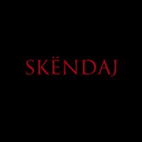 The Skëndaj Organization logo - Similar company to Nerma