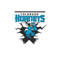 COLORADO HORNETS ATHLETICS YOUTH ORGANIZATION logo - Similar company to Mavis By Herrera