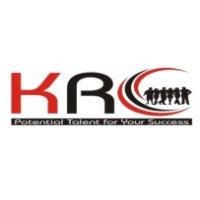 KR Consultant logo - Similar company to Kr Consult