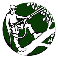 Asesorías Forestales Ltda logo - Similar company to Ecoblue_Col