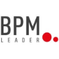 BPM Leader logo - Similar company to Kempenflex Bv.