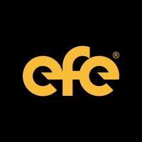 EFE Consulting Group™ logo - Similar company to Cápita Works - Bilingual Virtual Assistants In Mexico
